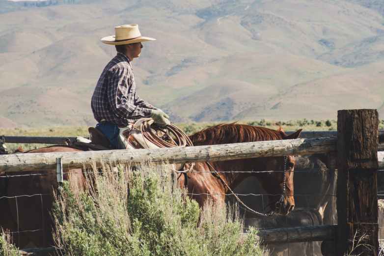 photography of a man riding horse